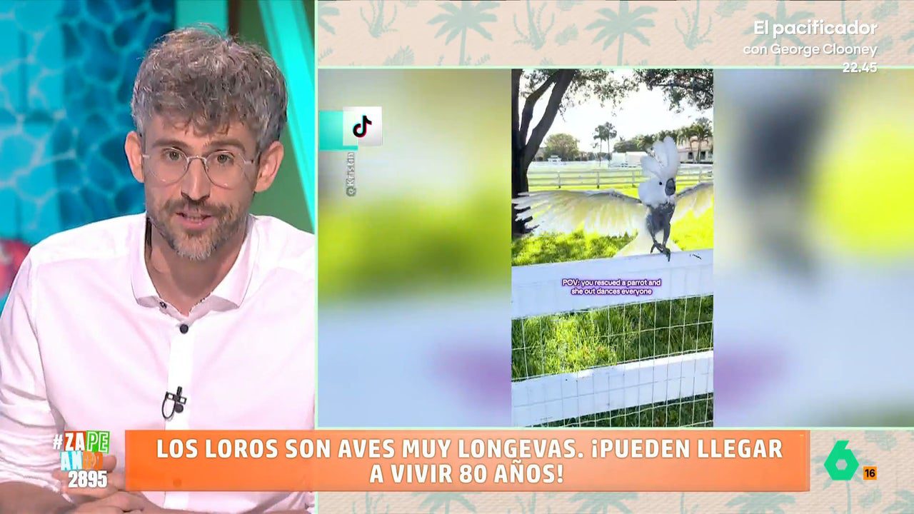 ¿Podemos darle la vida que se merece durante los próximos 50 años?