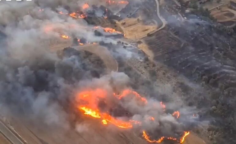 El primer gran incendio forestal del verano deja dos víctimas mortales en la Segarra, Lleida