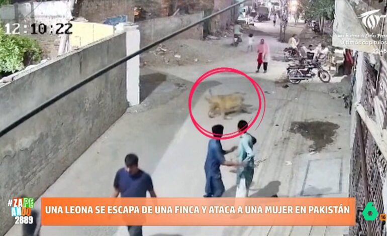 Solo quiere jugar con su cabeza
