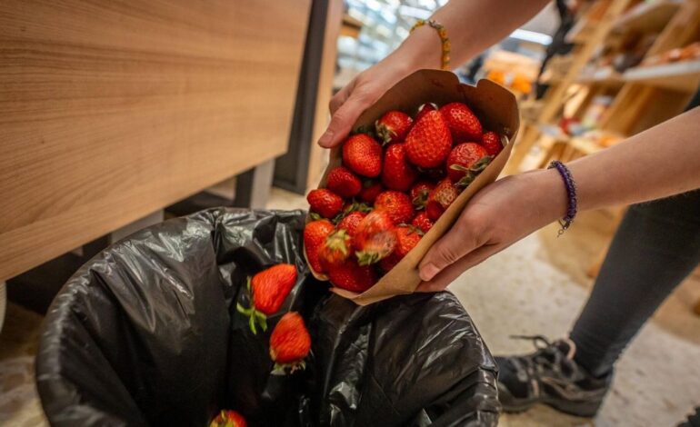 El desperdicio alimentario se reduce un 4,4 % en España, pese a que cada persona aún tira al año 24 kilos de comida a la basura