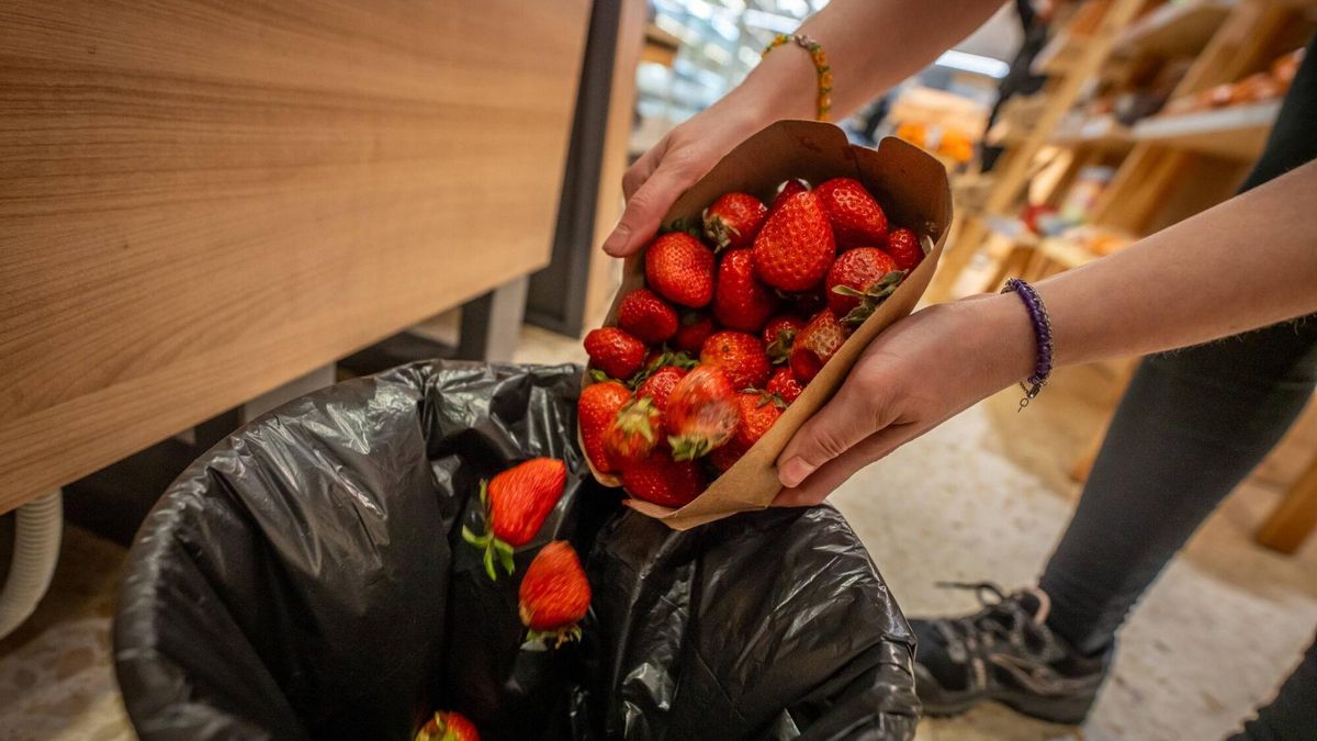 El desperdicio alimentario se reduce un 4,4 % en España, pese a que cada persona aún tira al año 24 kilos de comida a la basura