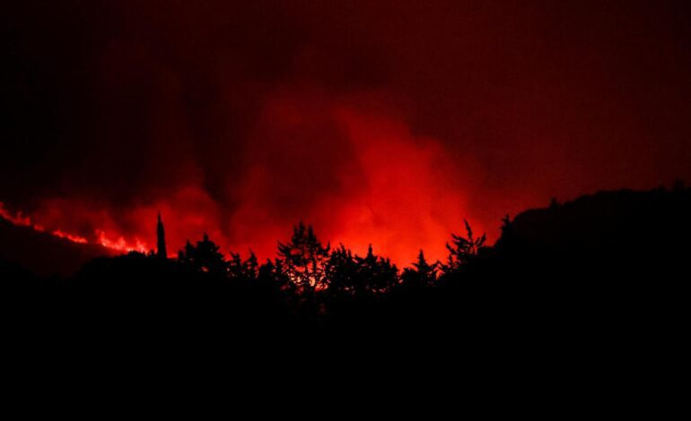 el fuego arrasa 11.000 hectáreas