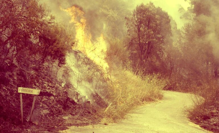El fuego que devora España también consume su riqueza