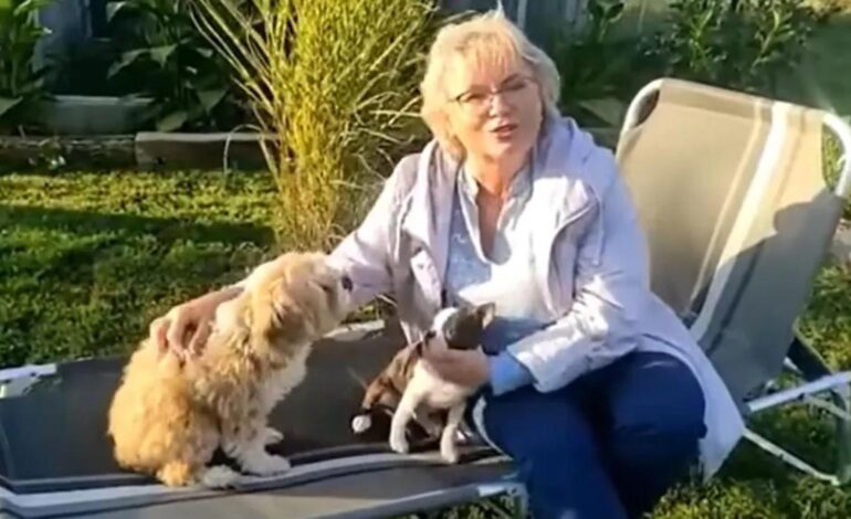 El plan para matar a un perro sacude la opinión pública checa y amenaza el regreso al poder del exprimer ministro Babis