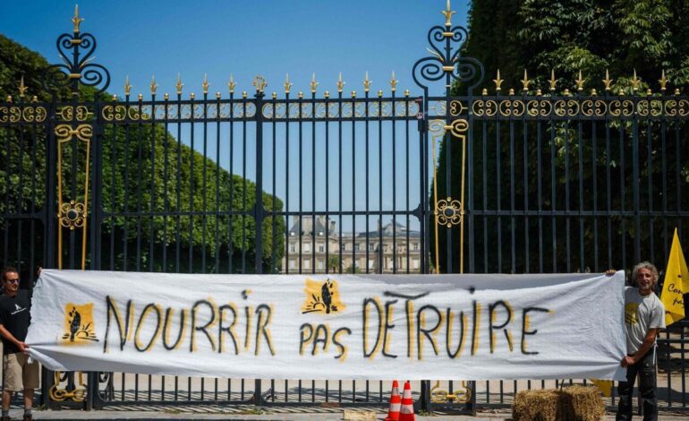 ACETAMIPRID CÁNCER | La ‘ley Duplomb’ divide a Francia en la lucha contra los pesticidas potencialmente cancerígenos