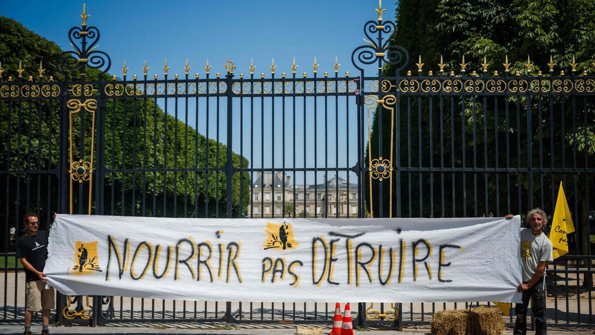 ACETAMIPRID CÁNCER | La ‘ley Duplomb’ divide a Francia en la lucha contra los pesticidas potencialmente cancerígenos