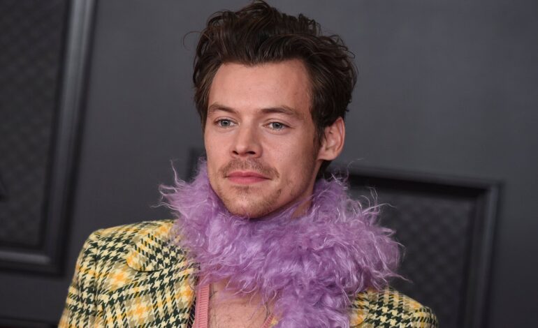 Harry Styles factura 14 millones de euros con sus juguetes para adultos