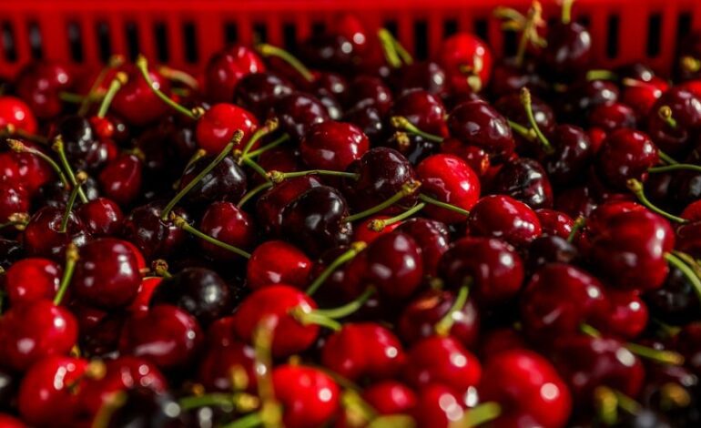 China abre las puertas de un mercado estratégico para la cereza española