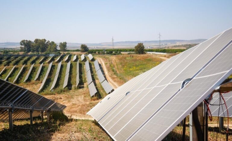 España malgasta cada vez más renovables por el «sistema reforzado» de Red Eléctrica