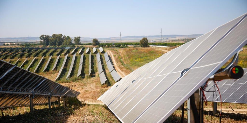 España malgasta cada vez más renovables por el «sistema reforzado» de Red Eléctrica