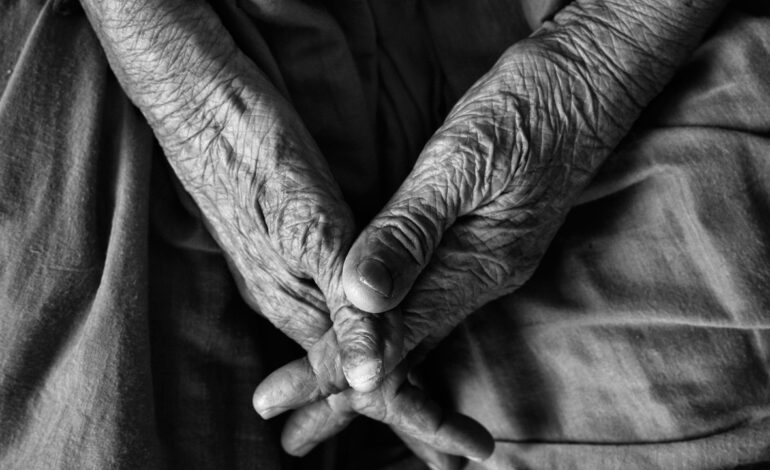 el campamento de verano donde mandan las abuelas