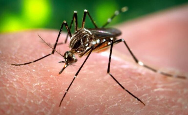 se triplican los casos de este virus moral en Reino Unido