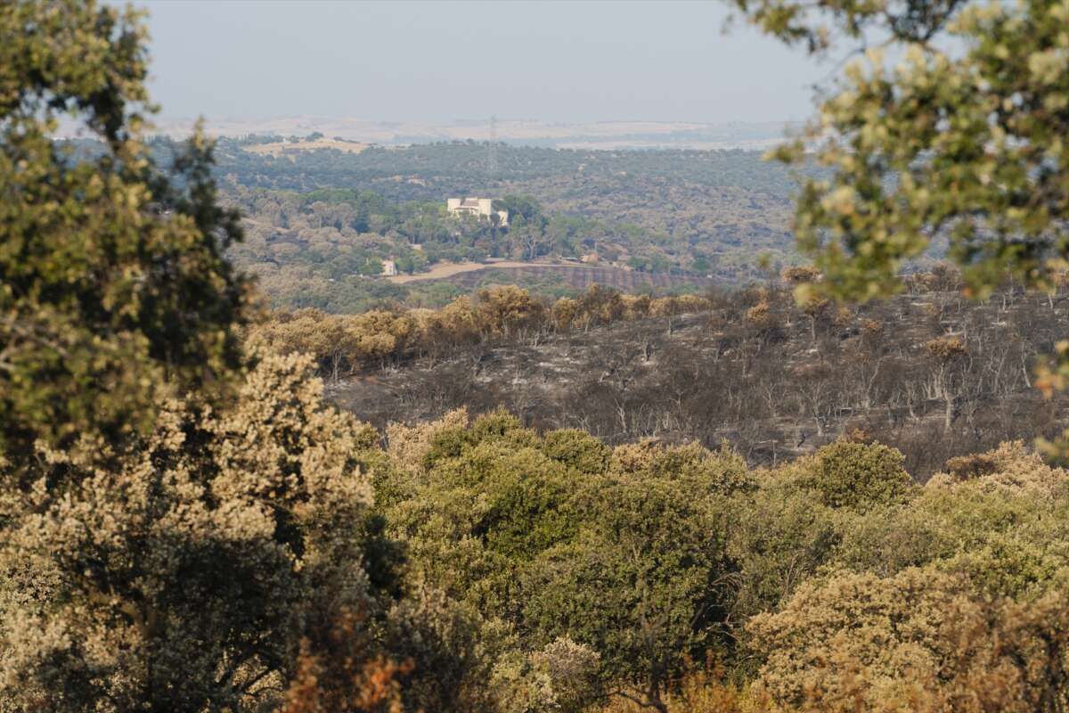 Incendios de Madrid 