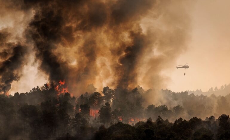 Una agrupación de abogados se ofrece a prestar atención gratuita a las víctimas de los incendios forestales en Portugal
