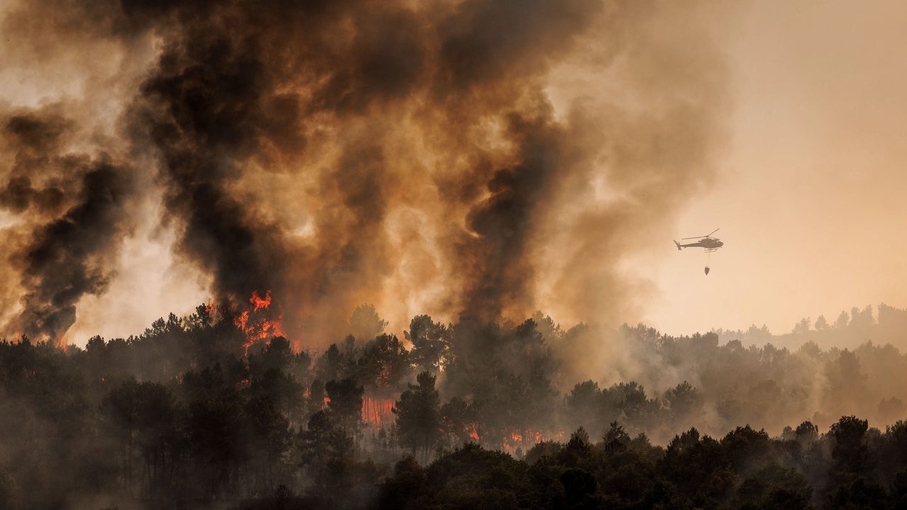 Una agrupación de abogados se ofrece a prestar atención gratuita a las víctimas de los incendios forestales en Portugal