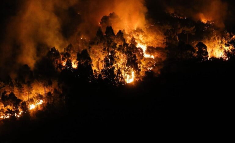 CaixaBank refuerza el apoyo a los afectados por los incendios ampliando sus líneas de financiación a 100 millones