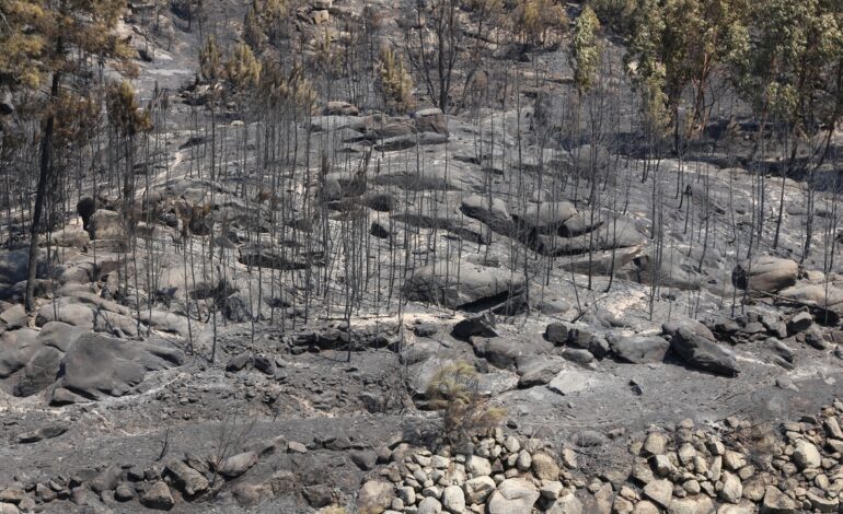 Las autoridades portuguesas confirman que gran parte del perímetro del incendio forestal de Vinhais está bajo contro