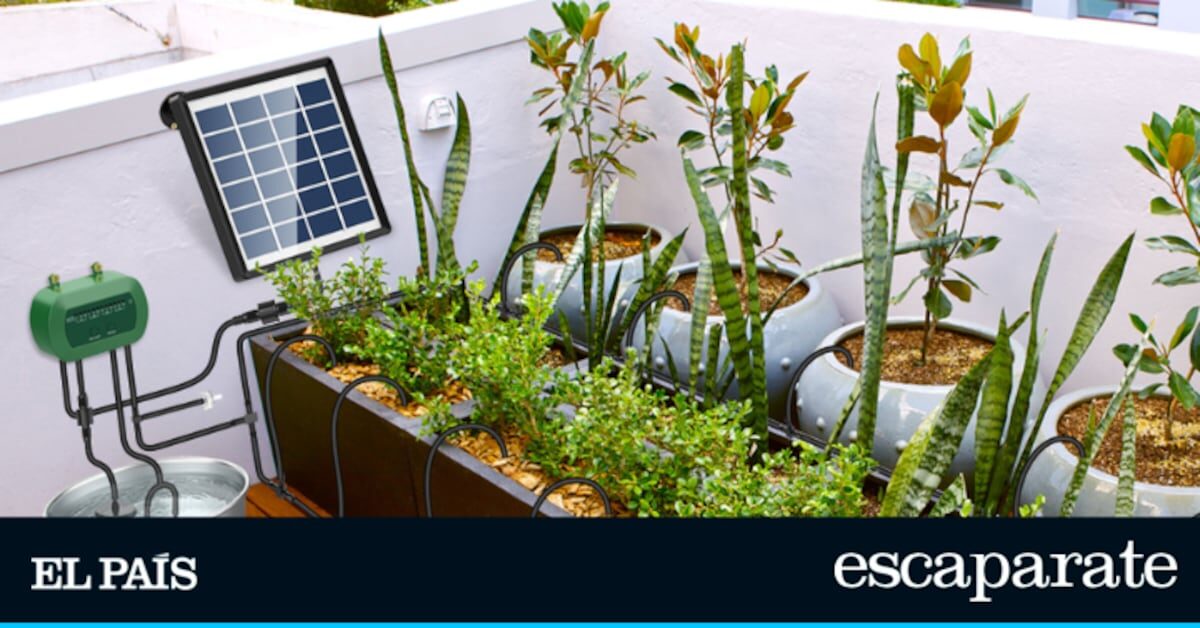 3 sistemas de riego por goteo solares mejor valorados de Amazon | Estilo de vida | Escaparate
