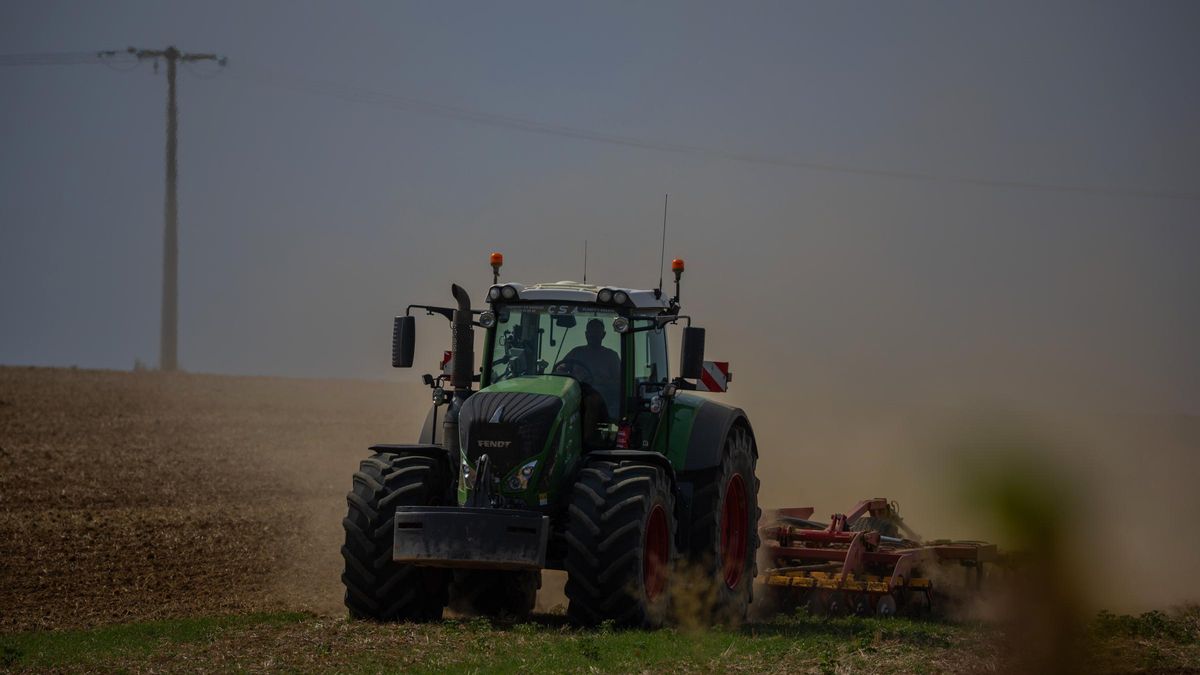 el drama silenciado de los suicidios en el campo francés