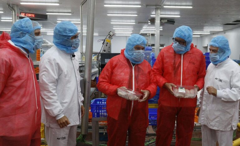 El Perte agroalimentario ha adjudicado ya más de 232 millones de euros en ayudas, de las que el 30% han ido a empresas catalanas