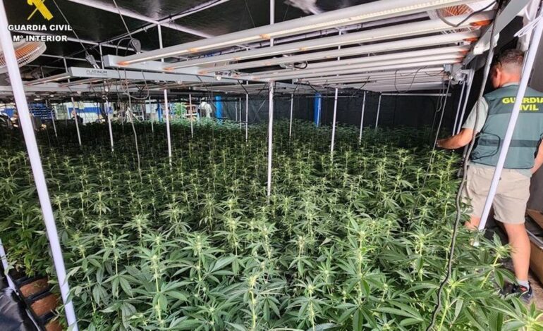 Desarticulada banda de más de 170 narcotraficantes polacos que operaba desde España