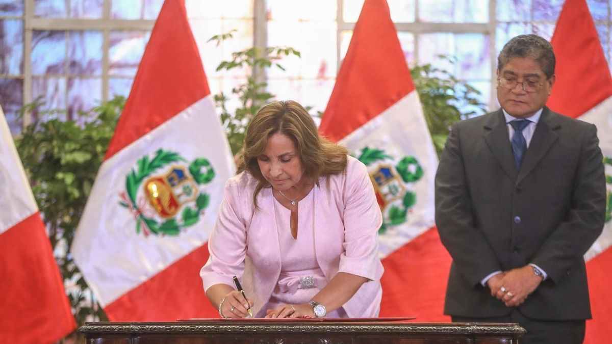 La presidente interina Dina Boluarte decreta una ley de amnistía para los militares peruanos que violaron los derechos humanos