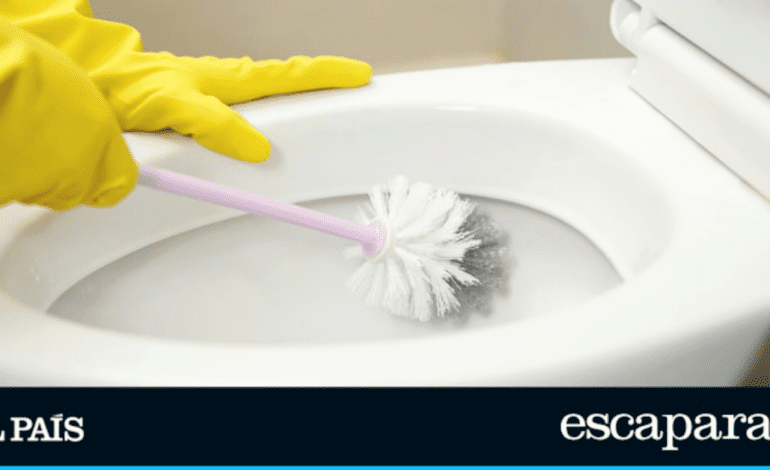 Ni lejía ni bicarbonato: la escobilla con dispensador de jabón que desinfecta tu baño de manera práctica y rápida | Estilo de vida | Escaparate