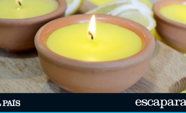 5 productos con citronela ideales para decir adiós a los mosquitos en casa | Estilo de vida | Escaparate