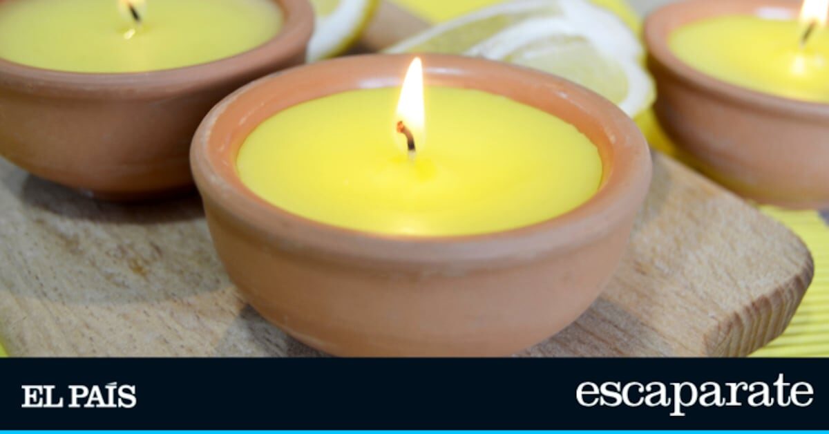 5 productos con citronela ideales para decir adiós a los mosquitos en casa | Estilo de vida | Escaparate