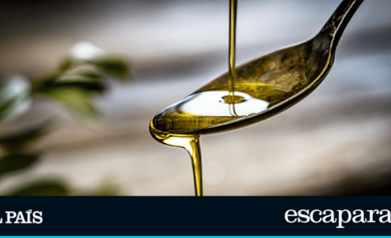 La vida es demasiado corta para no disfrutar del mejor aceite de oliva: cómo aprovecharlo al máximo cada día | Gastronomía | Escaparate