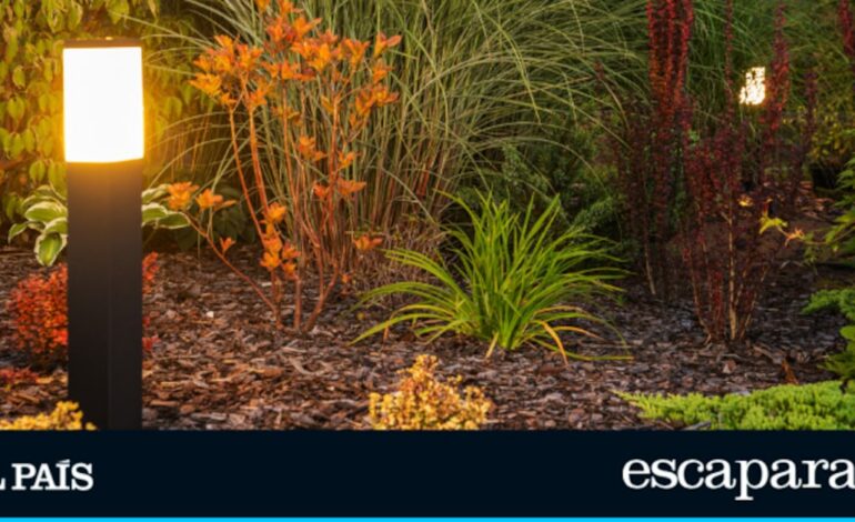 Este lote de ocho lámparas solares transformará tu jardín o cualquier rincón de casa este verano por menos de 20€ | Estilo de vida | Escaparate