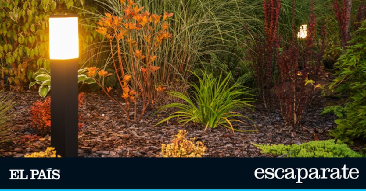 Este lote de ocho lámparas solares transformará tu jardín o cualquier rincón de casa este verano por menos de 20€ | Estilo de vida | Escaparate