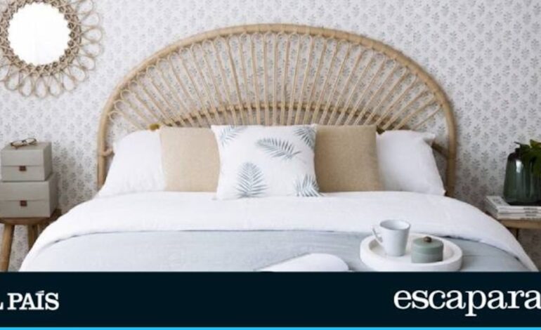 15 básicos de decoración para renovar tu casa (aunque tengas un presupuesto ajustado) | Escaparate: compras y ofertas