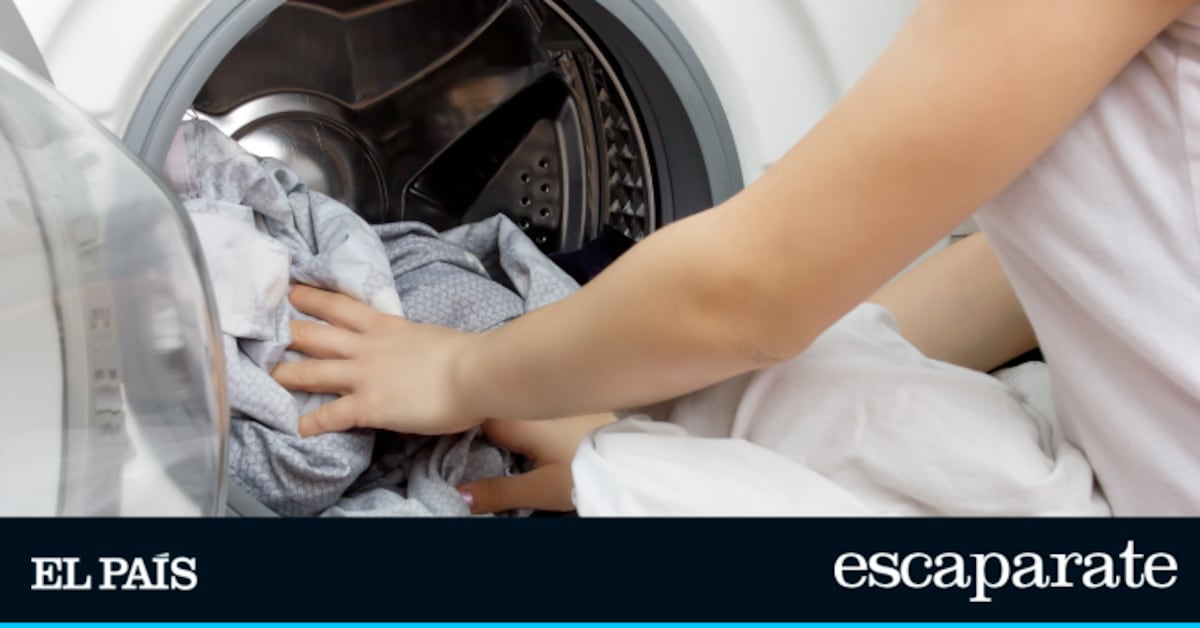 Ni cápsulas ni detergente líquido: este es el sustituto ecológico que lucha contra el desperdicio | Estilo de vida | Escaparate