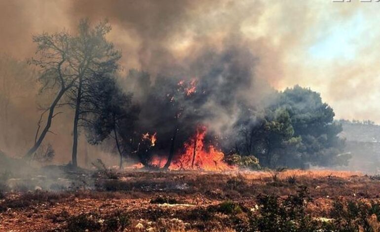Más de un centenar de incendios activos en Grecia debido a la «mezcla explosiva» de fuertes vientos y sequía