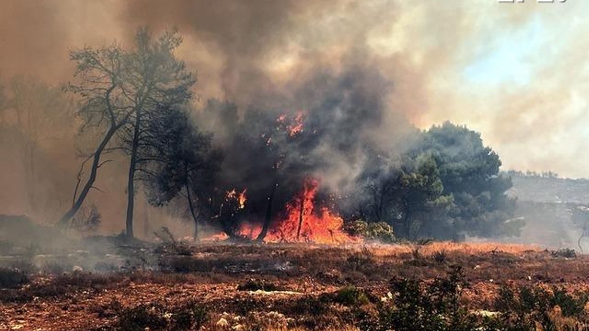 Más de un centenar de incendios activos en Grecia debido a la «mezcla explosiva» de fuertes vientos y sequía