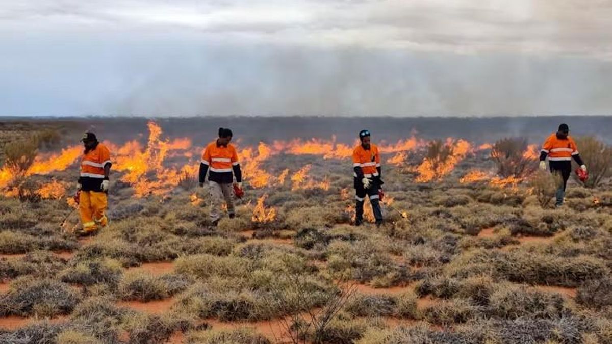 Los guardabosques queman el desierto en Australia para evitar que se propaguen incendios destructivos
