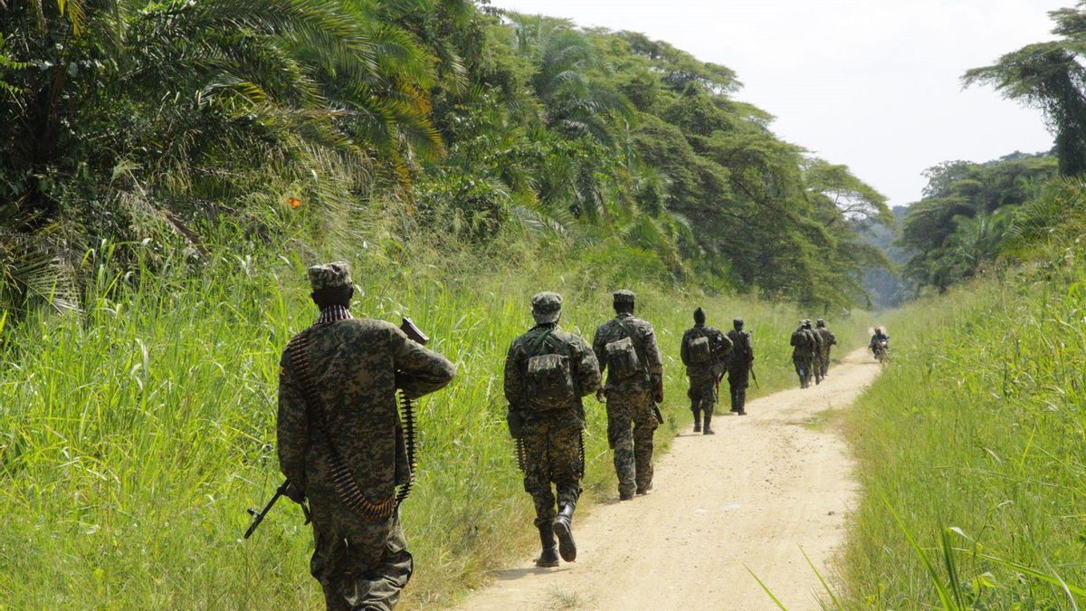 El M23 y milicias afines a la República Democrática del Congo reanudan los combates en el este a pesar de los esfuerzos de paz