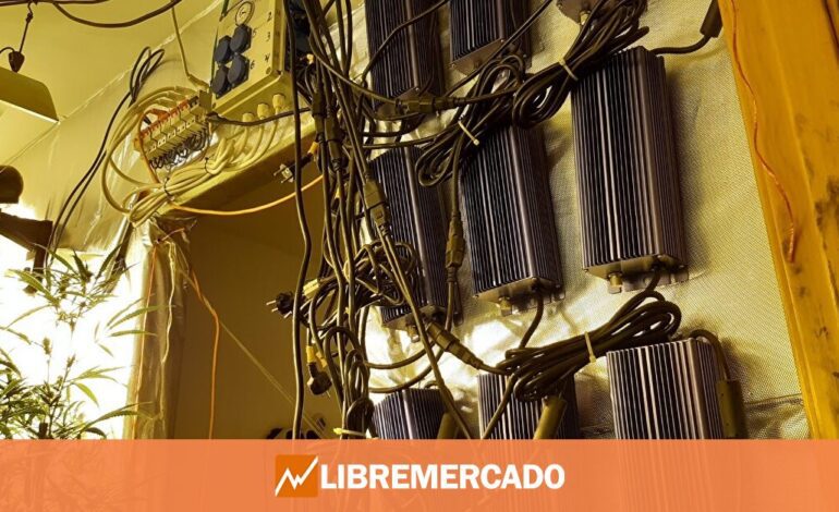 Endesa avisa de que ha detectado en el primer semestre de 2025 más de 32.000 fraudes eléctricos