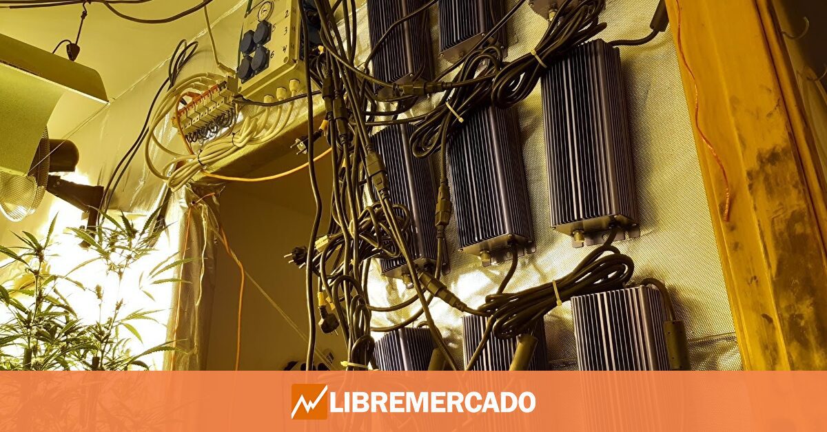 Endesa avisa de que ha detectado en el primer semestre de 2025 más de 32.000 fraudes eléctricos