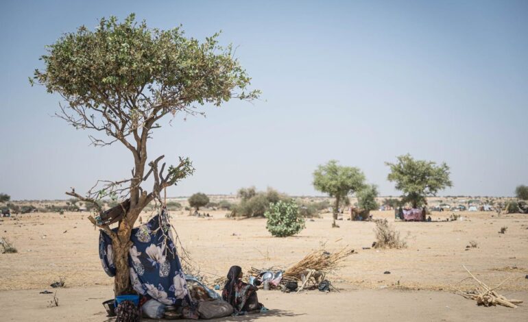 La ONU lamenta que los civiles «pagan el precio más alto» del conflicto en Sudán tras el ataque de RSF en Darfur (Sudán)