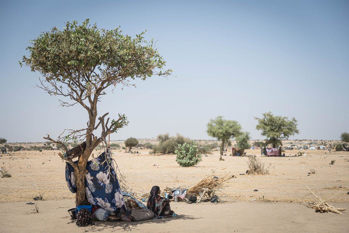 La ONU lamenta que los civiles «pagan el precio más alto» del conflicto en Sudán tras el ataque de RSF en Darfur (Sudán)
