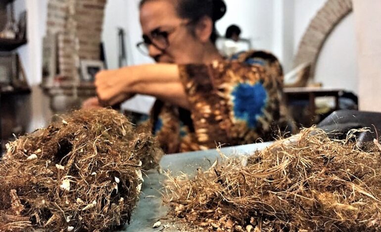 Italia concede una pensión vitalicia a la última maestra artesana del bisso, una fibra elaborada con filamentos de moluscos