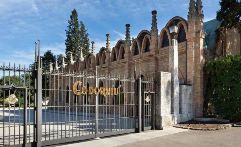 Raventós Codorníu obtiene 44 M€ de Ebitda en su ejercicio 2024-2025, un 13% más