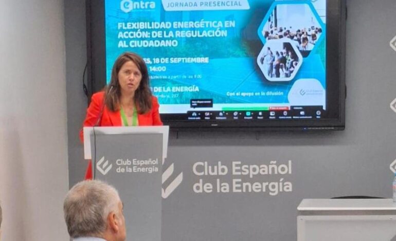 La gestión de la demanda eléctrica, clave para integrar más capacidad renovable en el sistema eléctrico español