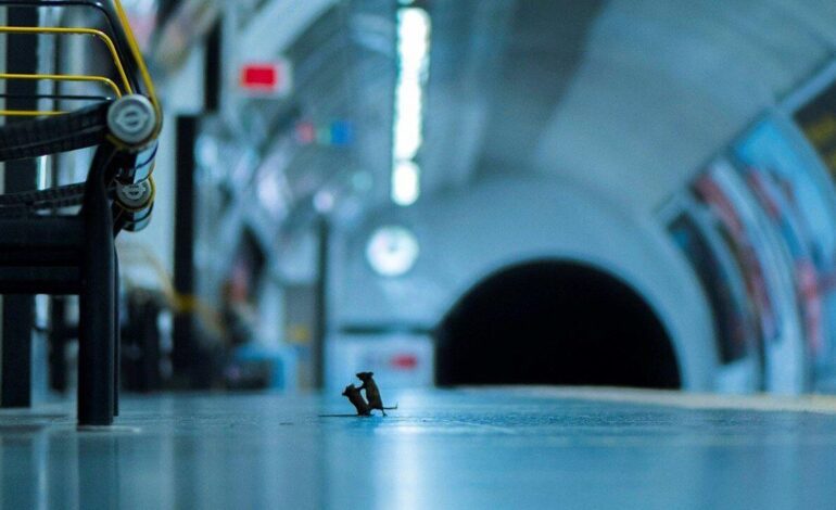 Londres vive su primera huelga general de metro desde 2023