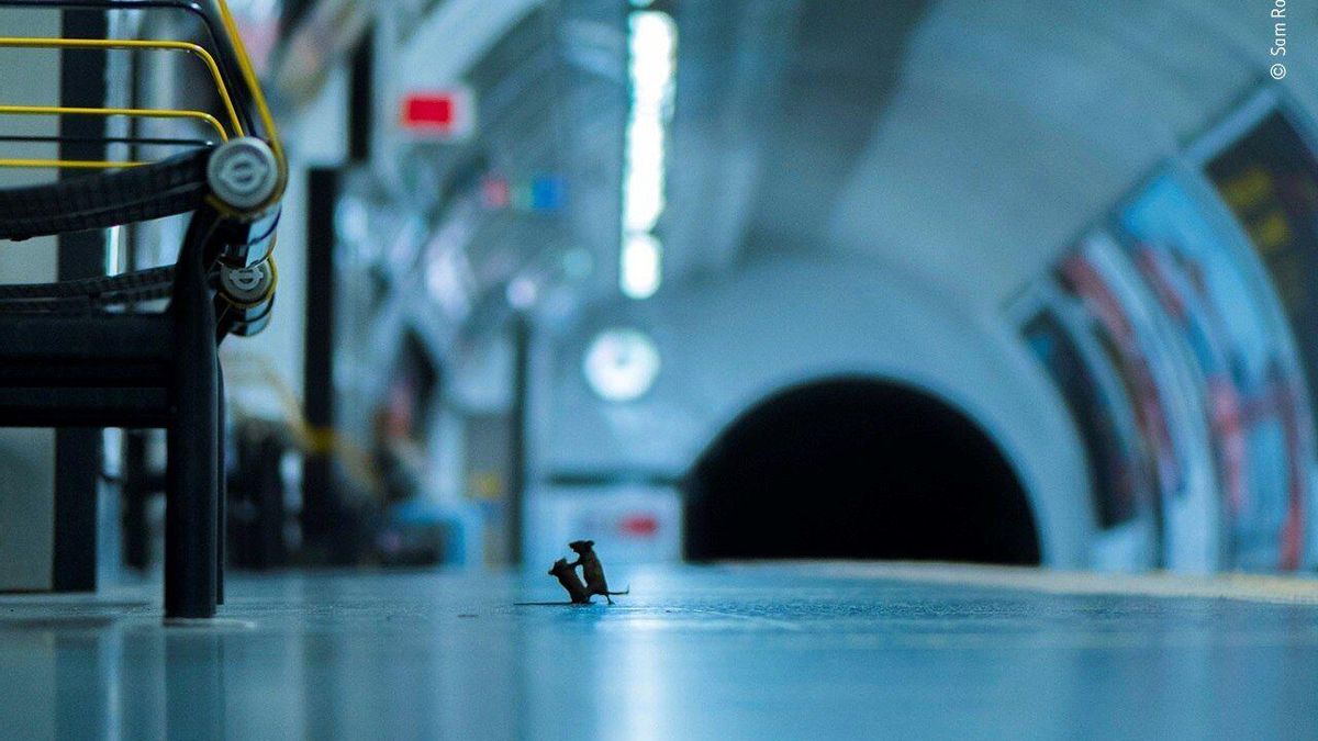 Londres vive su primera huelga general de metro desde 2023