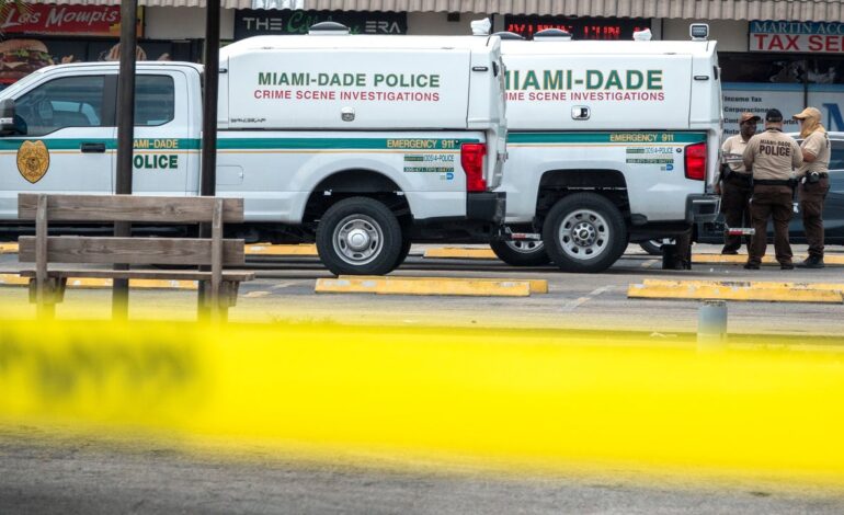 una mujer desata el caos en el aeropuerto de Miami al intentar secuestrar a un niño y agredir al personal