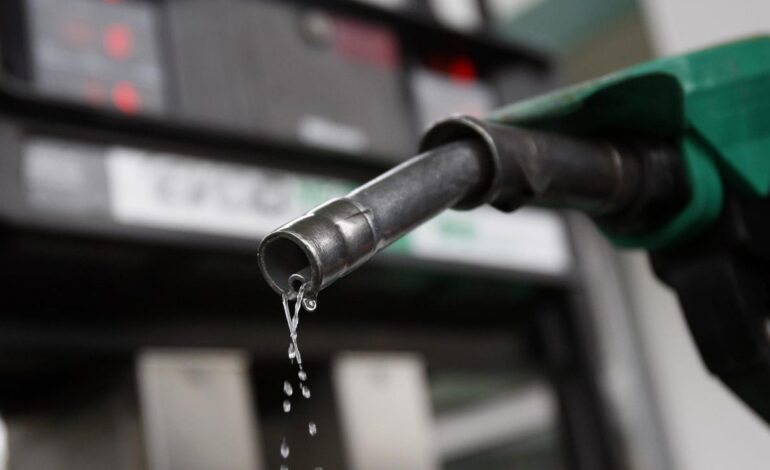 La OPEP decide aumentar su producción en octubre a un ritmo menor: 137.000 barriles