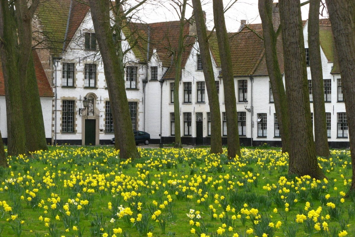 brujas